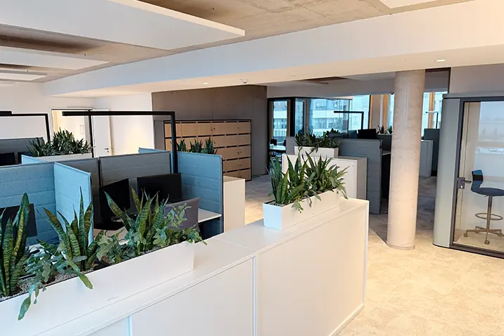 Offenes Büro mit Arbeitsplätzen, Pflanzen und Trennelementen